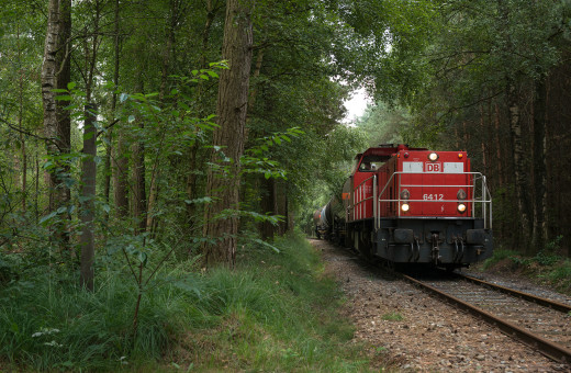 834928 (a): :2048x1336